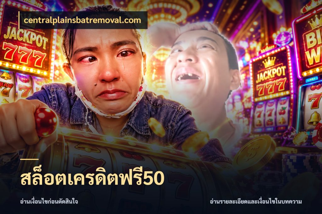 สล็อตเครดิตฟรี50 สีสันของเครดิตฟรีและเกมแนวที่ชอบ สไตล์ centralplainsbatremoval.com