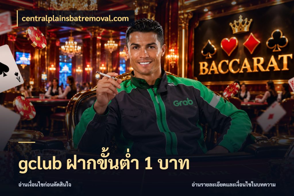 gclub ฝากขั้นต่ำ 1 บาท เปิดมุมยอดเริ่มต้นสำหรับคนชอบเกม กับ centralplainsbatremoval.com