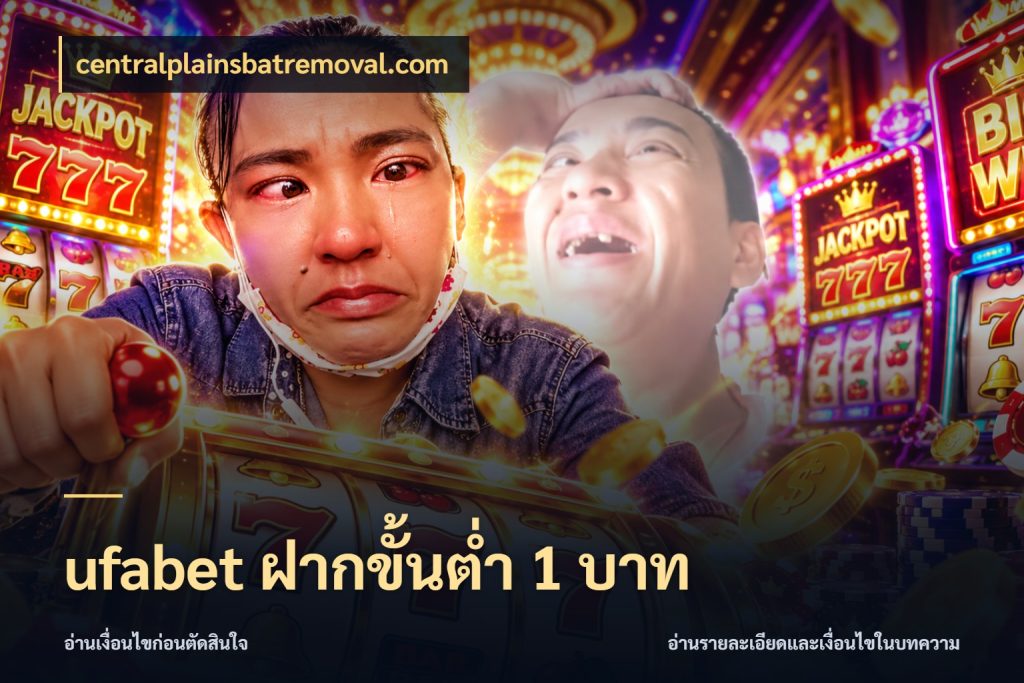 ufabet ฝากขั้นต่ำ 1 บาท สายทุนน้อยเลือกความสนุกให้พอดี ในมุม centralplainsbatremoval.com