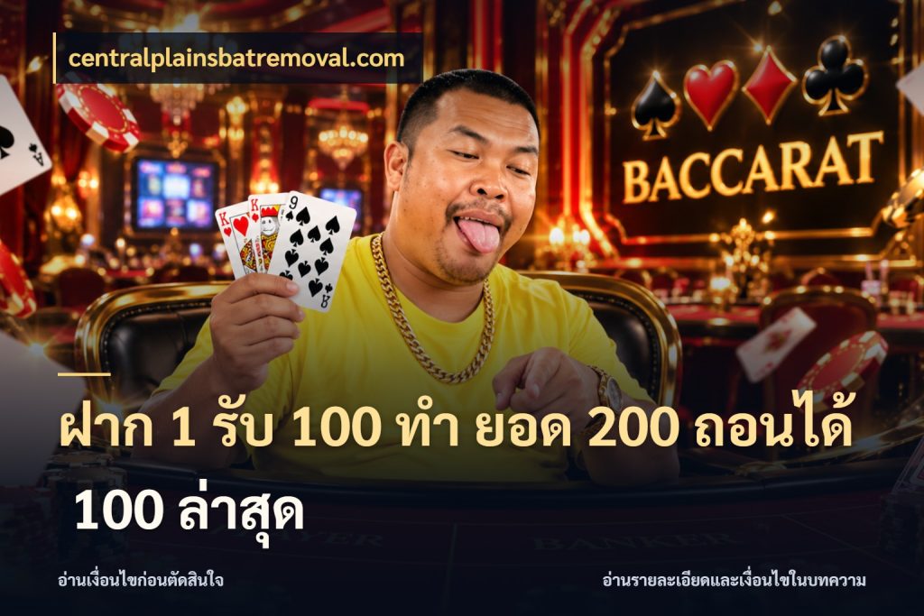 ฝาก 1 รับ 100 ทํา ยอด 200 ถอนได้ 100 ล่าสุด เครดิตกับรูปแบบโปรที่ตรงใจ กับ centralplainsbatremoval.com