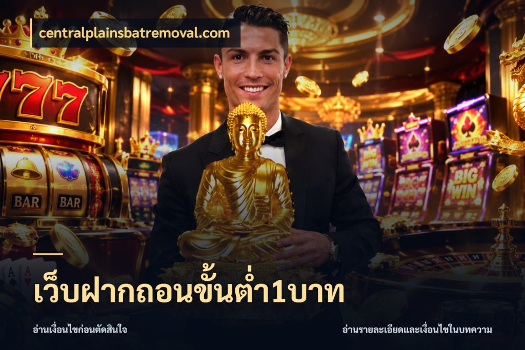 เว็บฝากถอนขั้นต่ำ1บาท เลือกสไตล์จากยอดและรูปแบบที่ตรงใจ สไตล์ centralplainsbatremoval.com