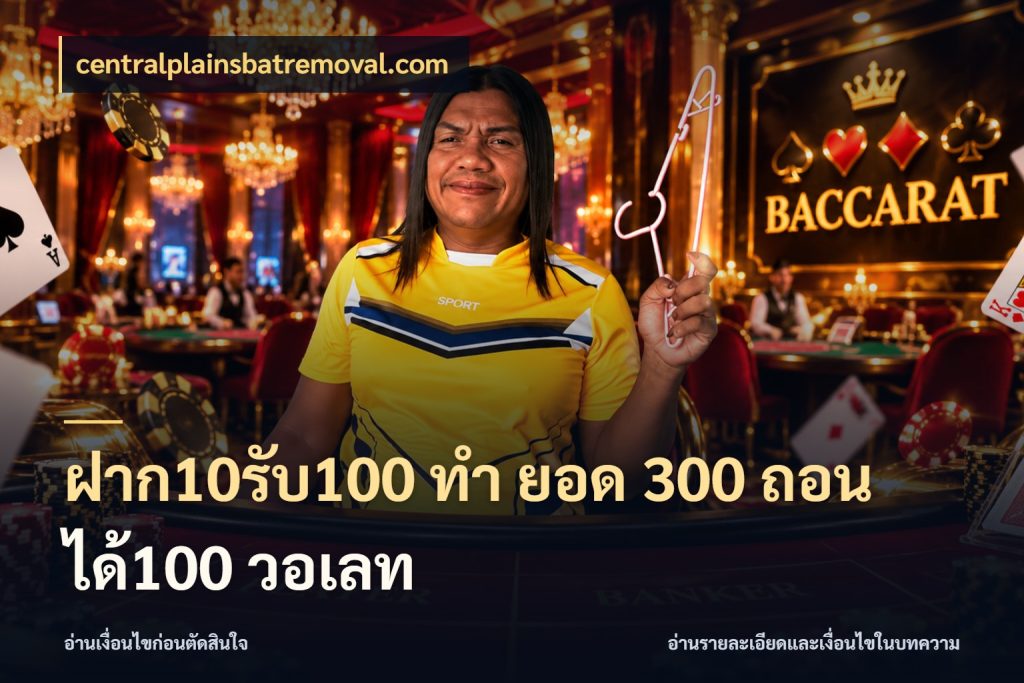 ฝาก10รับ100 ทํา ยอด 300 ถอนได้100 วอเลท จับประเด็นยอดรับก่อนเลือกความสนุก สไตล์ centralplainsbatremoval.com