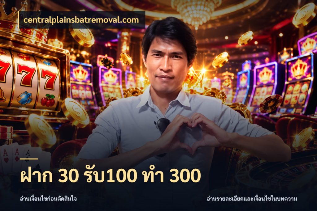 ฝาก 30 รับ100 ทำ 300 สนุกกับตัวเลือกโปรในสไตล์ของคุณ สไตล์ centralplainsbatremoval.com