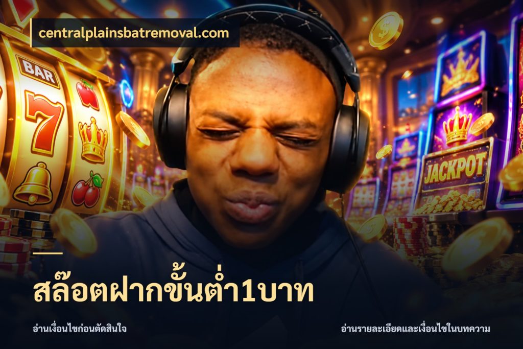 สล๊อตฝากขั้นต่ำ1บาท ทุนเบาก็มีสีสันในจังหวะของคุณ สไตล์ centralplainsbatremoval.com