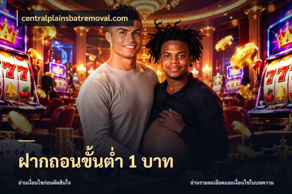 ฝากถอนขั้นต่ำ 1 บาท ยอดเริ่มต้นน่าจับตากับสิทธิ์ที่เกี่ยวข้อง กับ centralplainsbatremoval.com