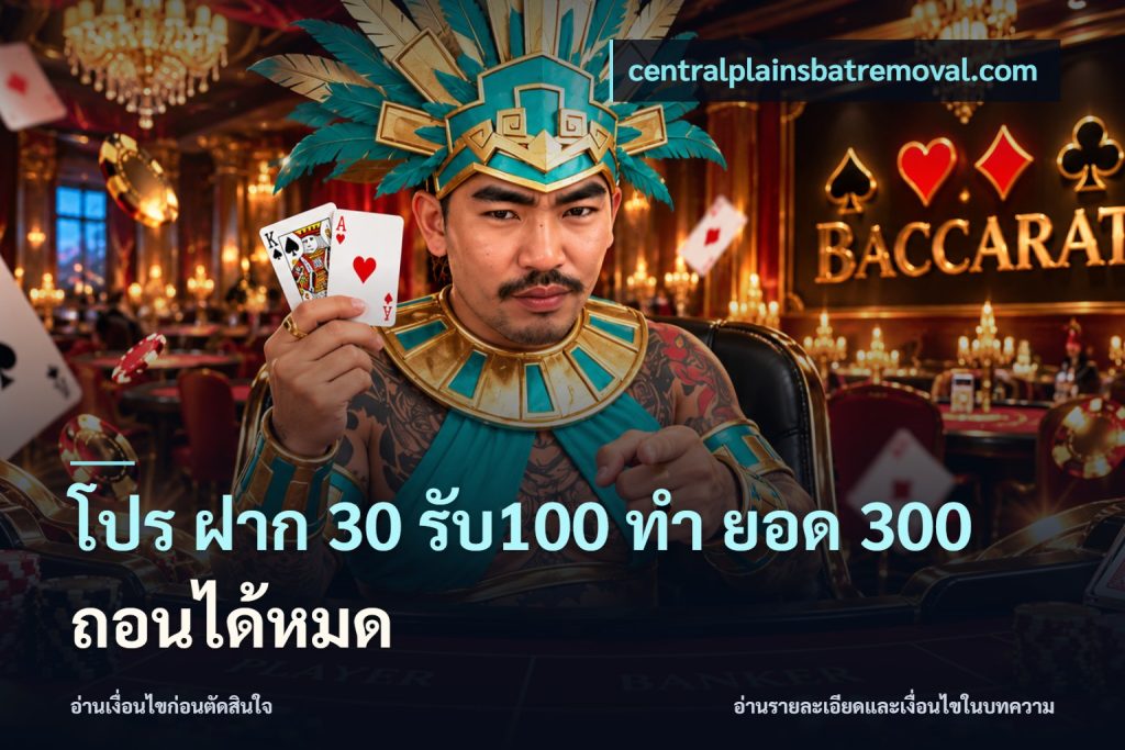 โปร ฝาก 30 รับ100 ทํา ยอด 300 ถอนได้หมด