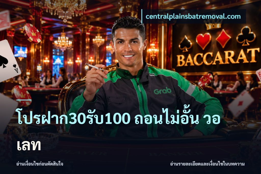 โปรฝาก30รับ100 ถอนไม่อั้น วอ เลท