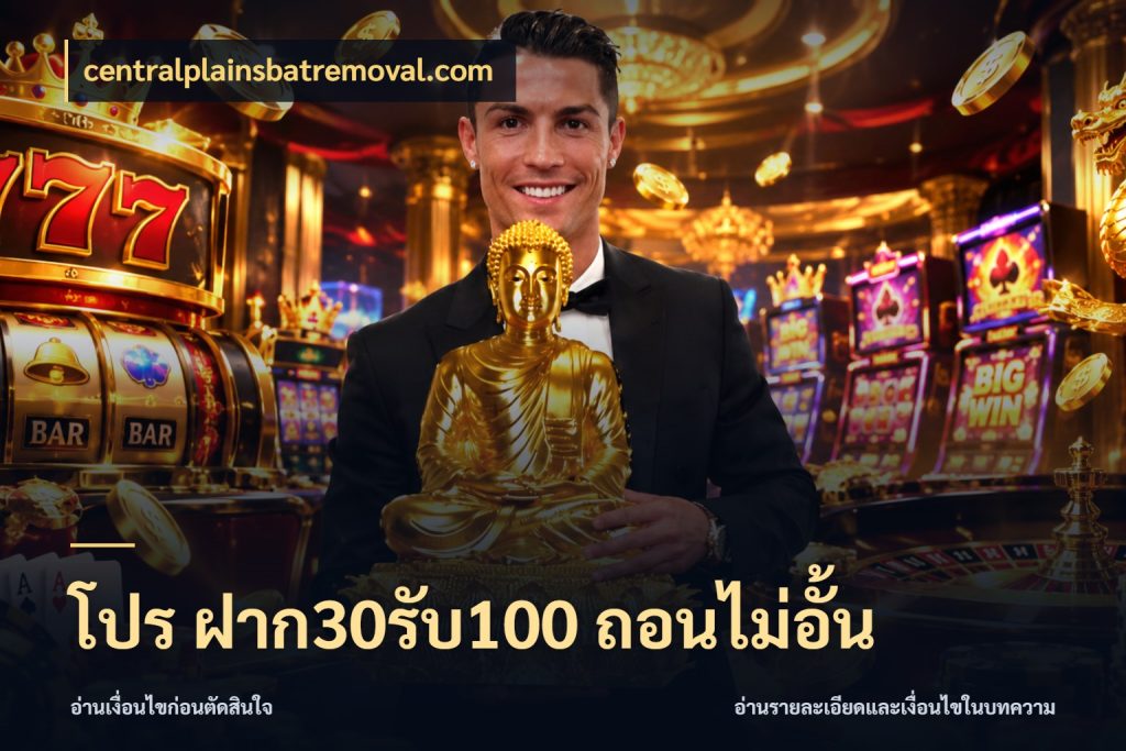 โปร ฝาก30รับ100 ถอนไม่อั้น จับประเด็นยอดรับก่อนเลือกความสนุก ในมุม centralplainsbatremoval.com