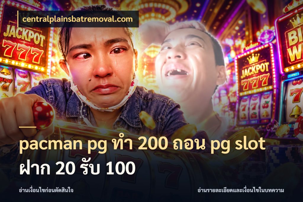 pacman pg ทํา 200 ถอน pg slot ฝาก 20 รับ 100 จับคู่โบนัสกับสไตล์เกมที่ชอบ ในมุม centralplainsbatremoval.com