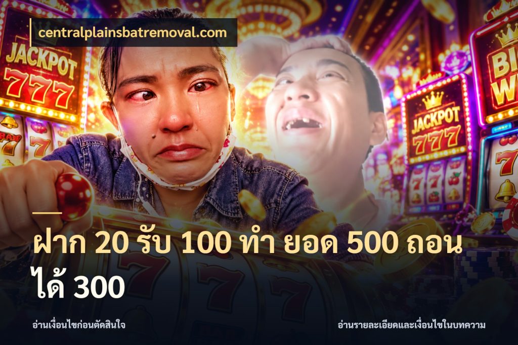 ฝาก 20 รับ 100 ทํา ยอด 500 ถอนได้ 300 สนุกกับตัวเลือกโปรในสไตล์ของคุณ ในมุม centralplainsbatremoval.com