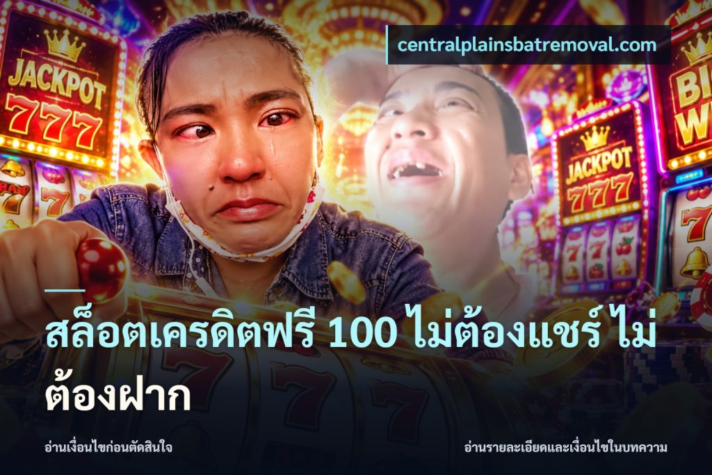 สล็อตเครดิตฟรี 100 ไม่ต้องแชร์ ไม่ต้องฝาก