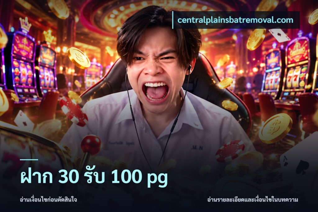 ฝาก 30 รับ 100 pg