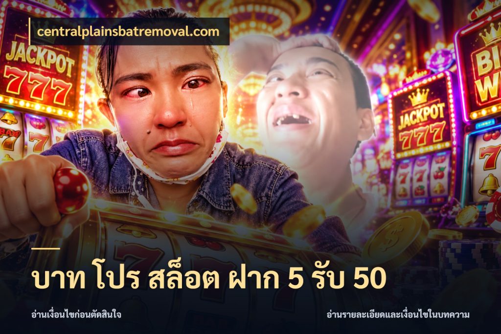 บาท โปร สล็อต ฝาก 5 รับ 50 จับคู่โบนัสกับสไตล์เกมที่ชอบ กับ centralplainsbatremoval.com