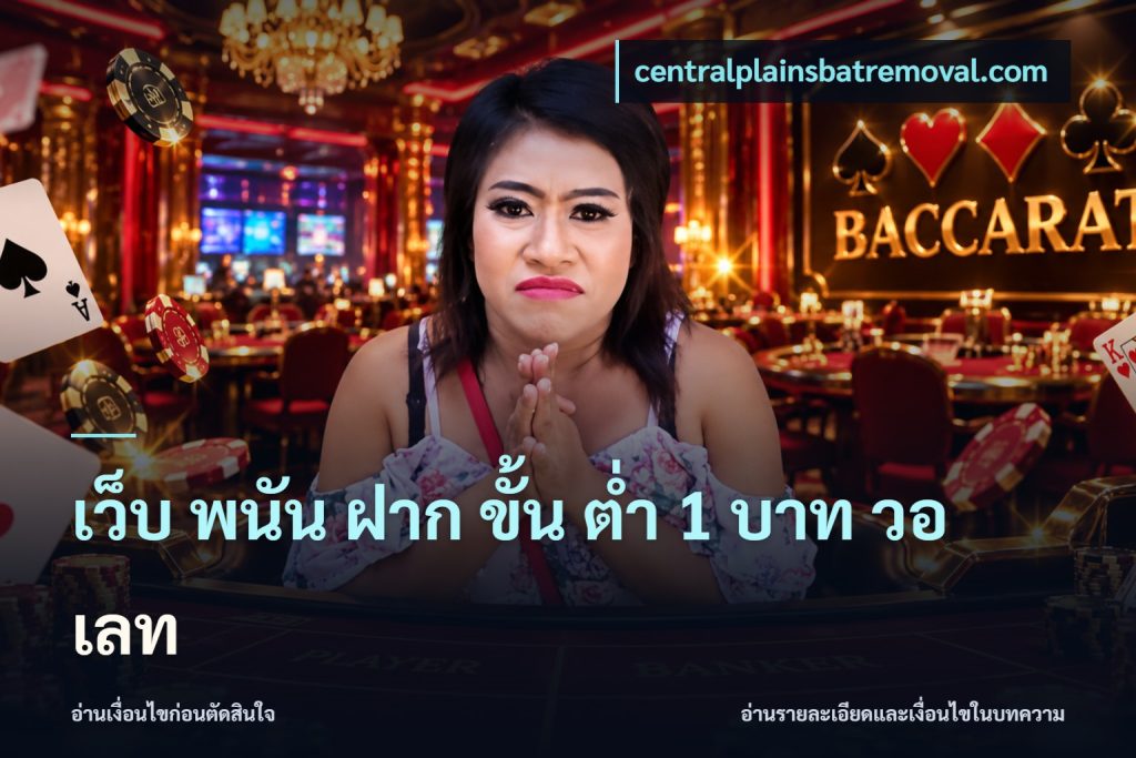 เว็บ พนัน ฝาก ขั้น ต่ำ 1 บาท วอ เลท