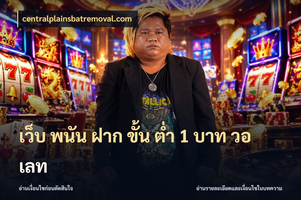 เว็บ พนัน ฝาก ขั้น ต่ำ 1 บาท วอ เลท รู้จักจำนวนแต่ละแบบก่อนเลือกเกม ในมุม centralplainsbatremoval.com