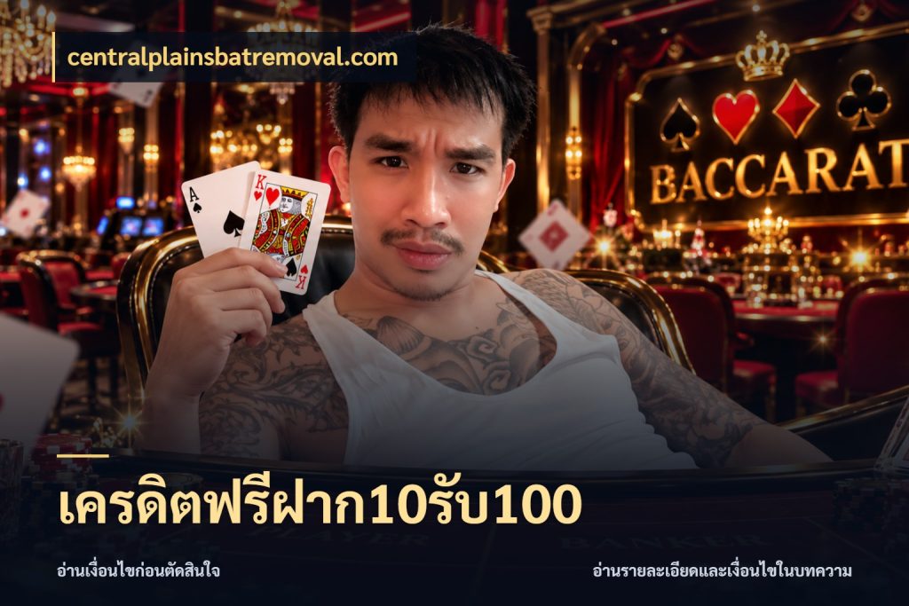 เครดิตฟรีฝาก10รับ100 โปรกับเกมที่ชอบเลือกให้ตรงสไตล์ ในมุม centralplainsbatremoval.com