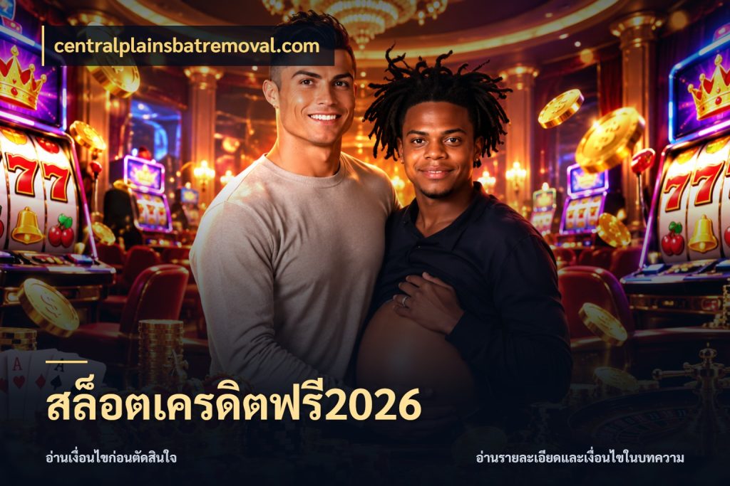 สล็อตเครดิตฟรี2026 centralplainsbatremoval.com เลือกสไตล์ความสนุกจากรูปแบบเครดิต