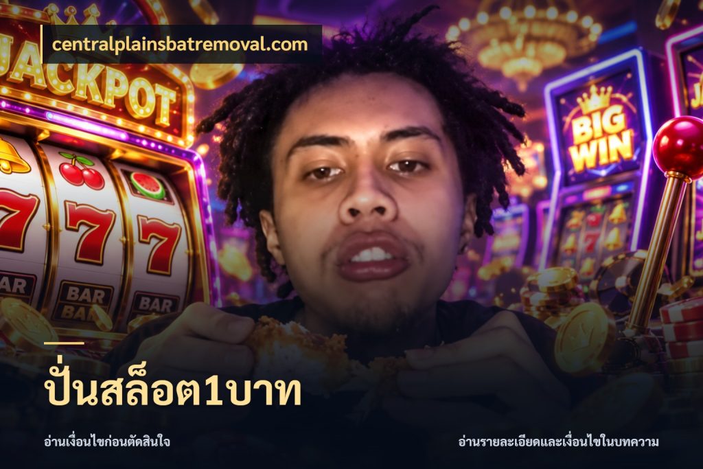 ปั่นสล็อต1บาท ทุนเบาก็มีสีสันในจังหวะของคุณ สไตล์ centralplainsbatremoval.com