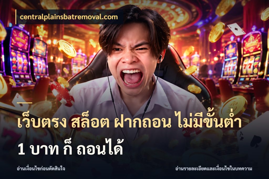 เว็บตรง สล็อต ฝากถอน ไม่มีขั้นต่ำ 1 บาท ก็ ถอนได้ เงินตั้งต้นกับความสนุกที่คุณกำหนด สไตล์ centralplainsbatremoval.com