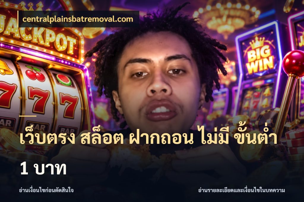 เว็บตรง สล็อต ฝากถอน ไม่มี ขั้นต่ำ 1 บาท centralplainsbatremoval.com สายทุนน้อยเลือกความสนุกให้พอดี