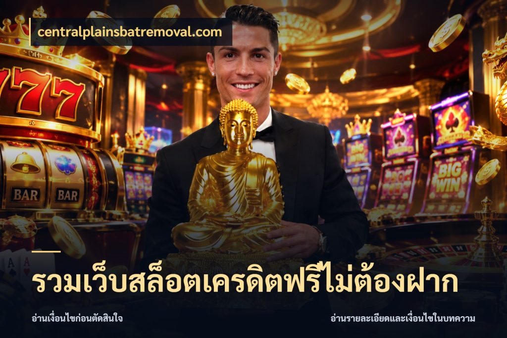 รวมเว็บสล็อตเครดิตฟรีไม่ต้องฝาก จากชื่อเครดิตฟรีสู่ความสนุกที่เข้าใจได้ กับ centralplainsbatremoval.com