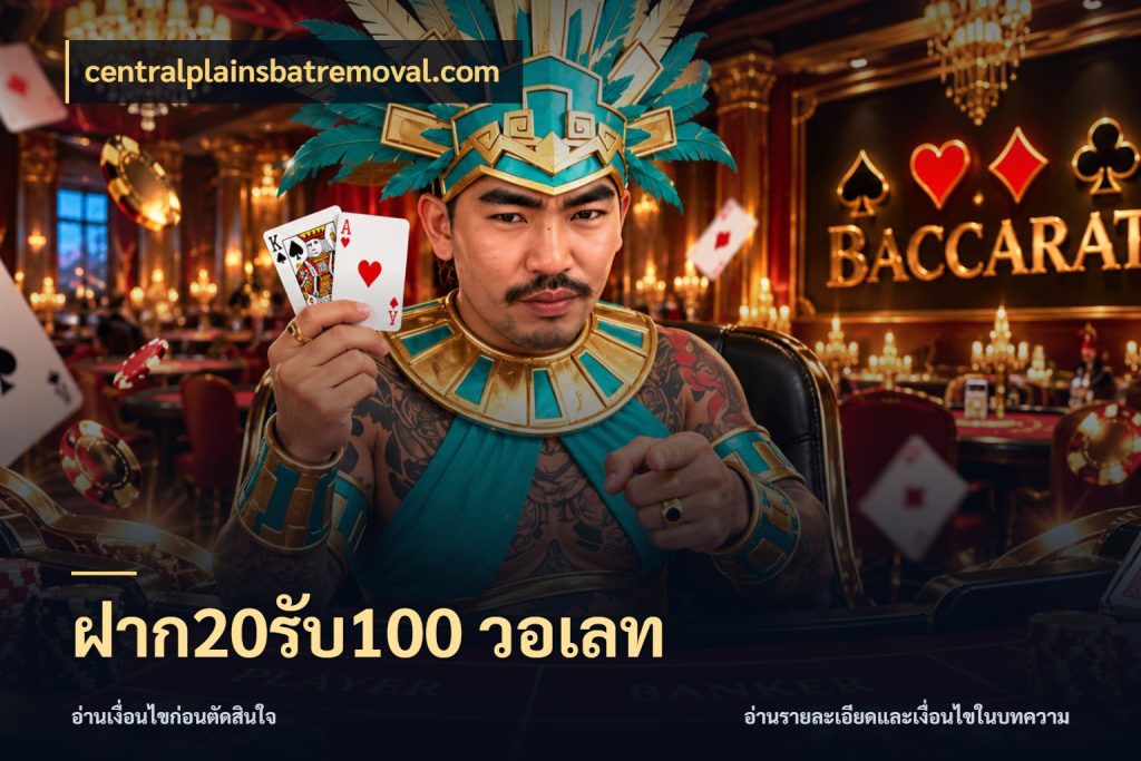 ฝาก20รับ100 วอเลท สีสันของโปรฝากและยอดรับ กับ centralplainsbatremoval.com