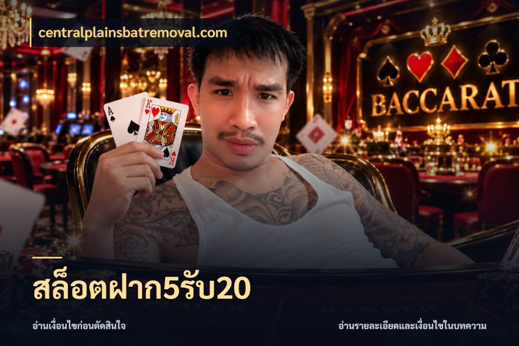 สล็อตฝาก5รับ20 เครดิตกับรูปแบบโปรที่ตรงใจ สไตล์ centralplainsbatremoval.com