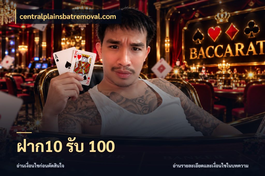 ฝาก10 รับ 100 จับประเด็นยอดรับก่อนเลือกความสนุก สไตล์ centralplainsbatremoval.com