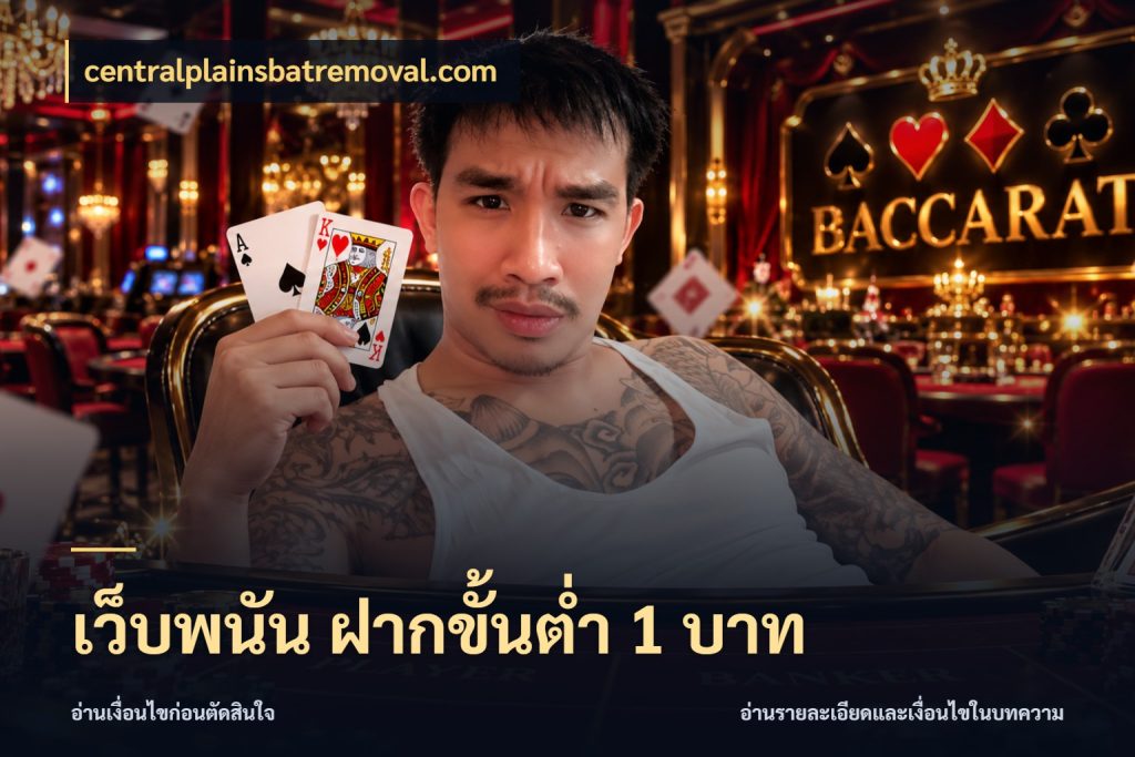 เว็บพนัน ฝากขั้นต่ำ 1 บาท เงินตั้งต้นกับความสนุกที่คุณกำหนด สไตล์ centralplainsbatremoval.com