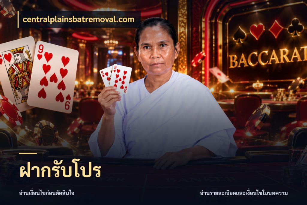 ฝากรับโปร centralplainsbatremoval.com เครดิตกับรูปแบบโปรที่ตรงใจ