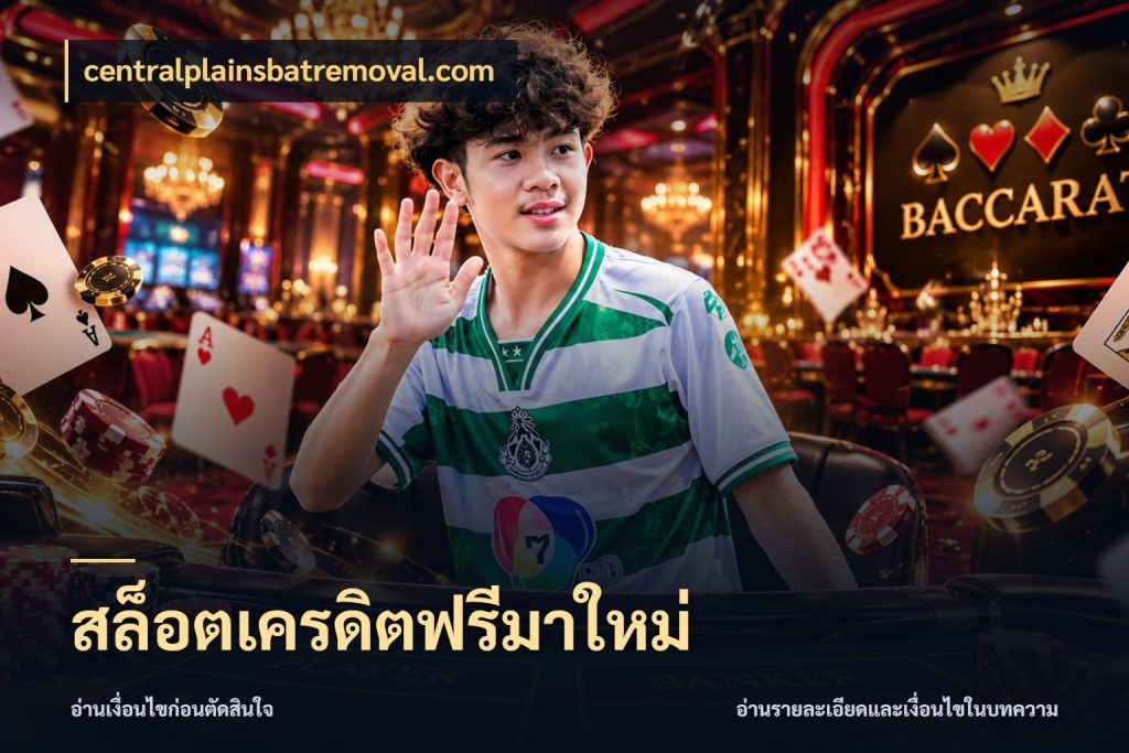 สล็อตเครดิตฟรีมาใหม่ รู้จักยอดและขอบเขตของเครดิตฟรี ในมุม centralplainsbatremoval.com