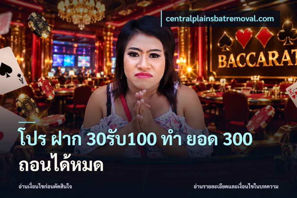 โปร ฝาก 30รับ100 ทํา ยอด 300 ถอนได้หมด