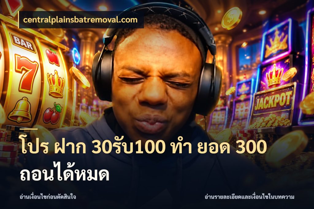 โปร ฝาก 30รับ100 ทํา ยอด 300 ถอนได้หมด สีสันของโปรฝากและยอดรับ ในมุม centralplainsbatremoval.com