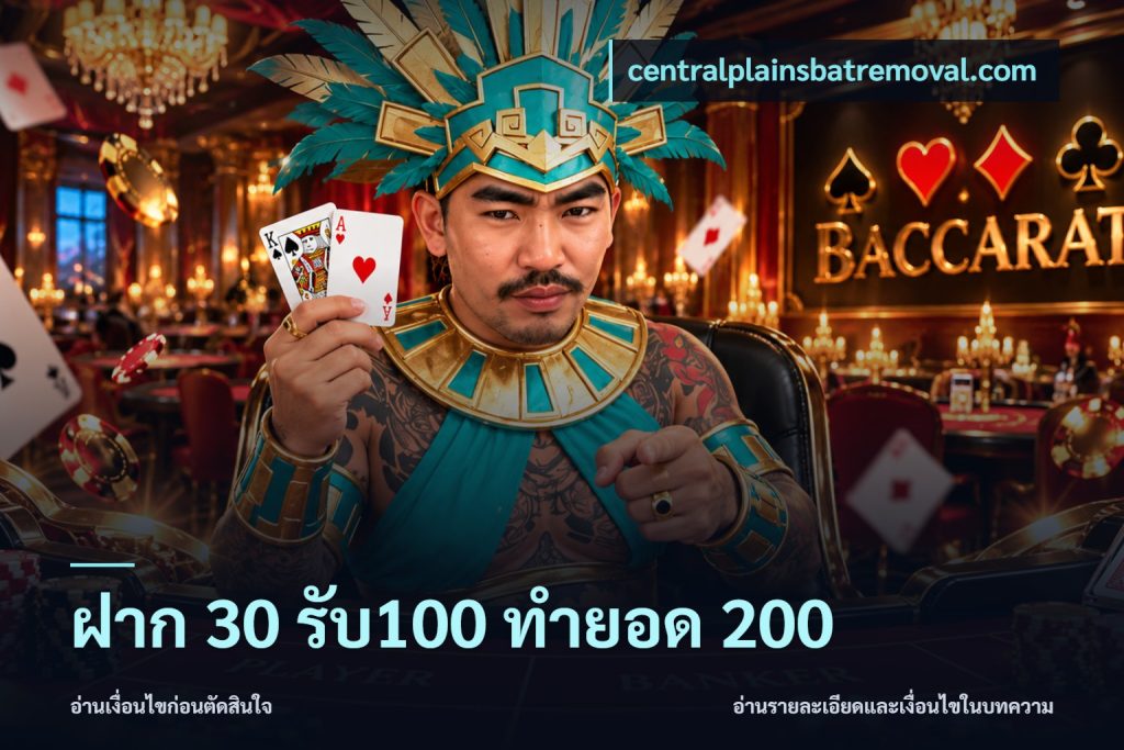 ฝาก 30 รับ100 ทำยอด 200