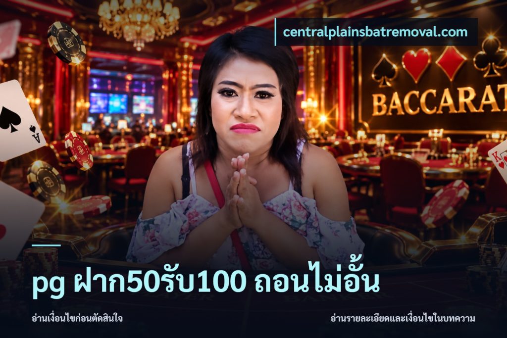 pg ฝาก50รับ100 ถอนไม่อั้น