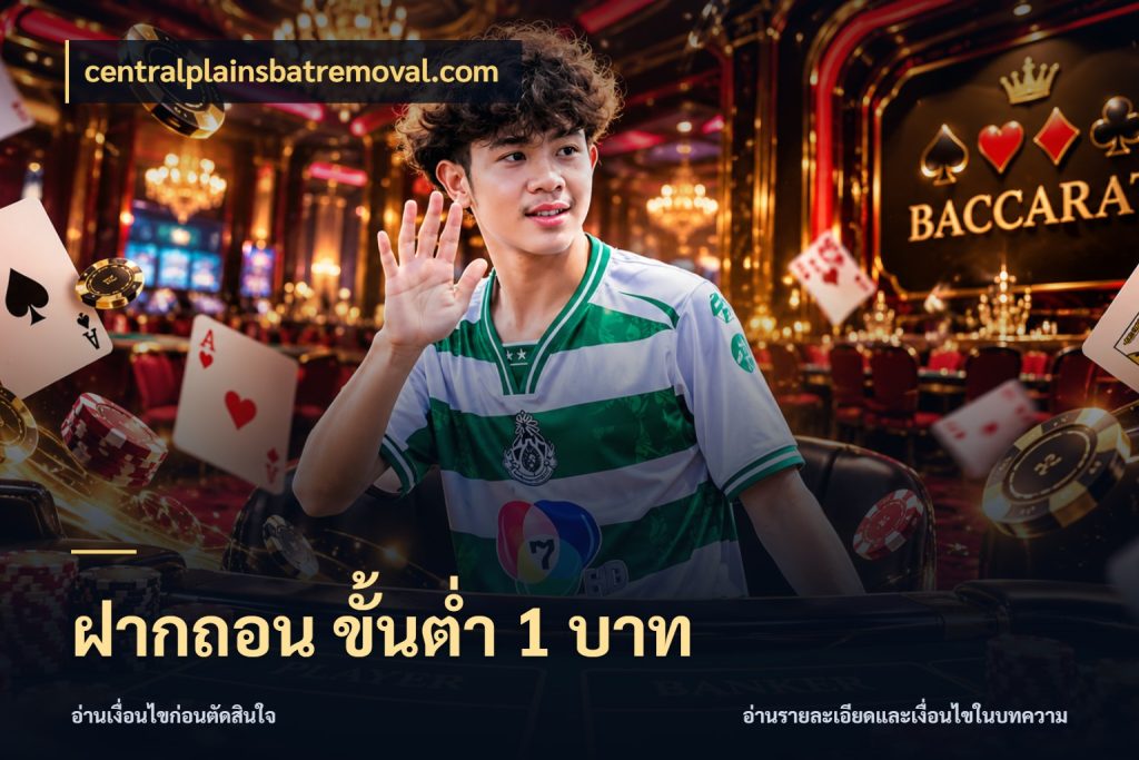 ฝากถอน ขั้นต่ำ 1 บาท เปิดมุมยอดเริ่มต้นสำหรับคนชอบเกม สไตล์ centralplainsbatremoval.com
