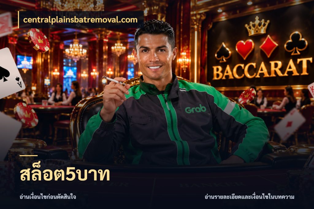 สล็อต5บาท รู้จักจำนวนแต่ละแบบก่อนเลือกเกม สไตล์ centralplainsbatremoval.com