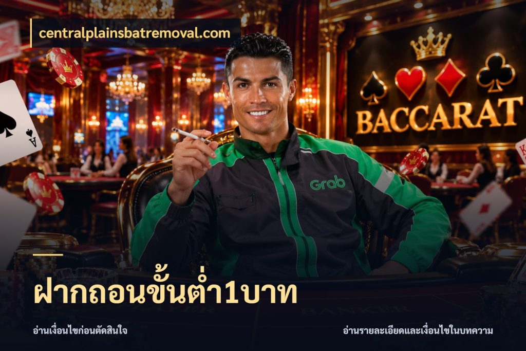 ฝากถอนขั้นต่ำ1บาท เงินตั้งต้นกับความสนุกที่คุณกำหนด ในมุม centralplainsbatremoval.com