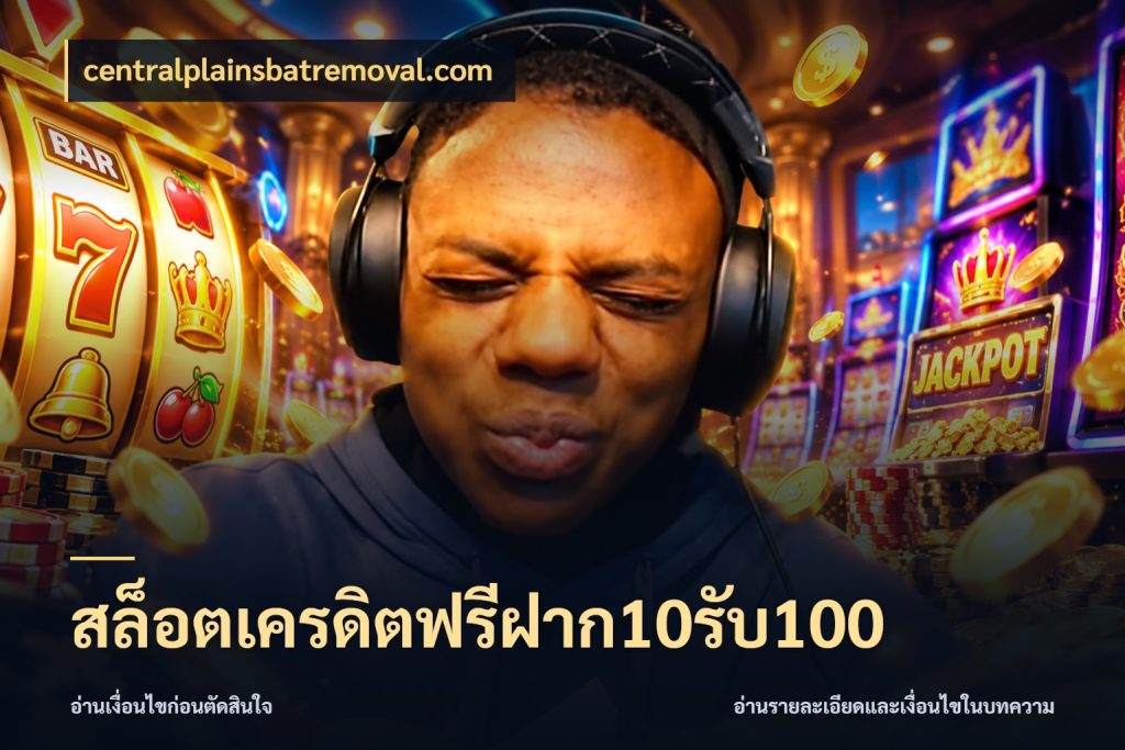 สล็อตเครดิตฟรีฝาก10รับ100 สายโบนัสเลือกจังหวะสนุกได้อย่างไร ในมุม centralplainsbatremoval.com