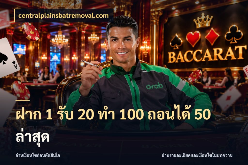 ฝาก 1 รับ 20 ทำ 100 ถอนได้ 50 ล่าสุด จับประเด็นยอดรับก่อนเลือกความสนุก ในมุม centralplainsbatremoval.com